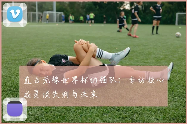 直击无缘世界杯的强队：专访核心成员谈失利与未来