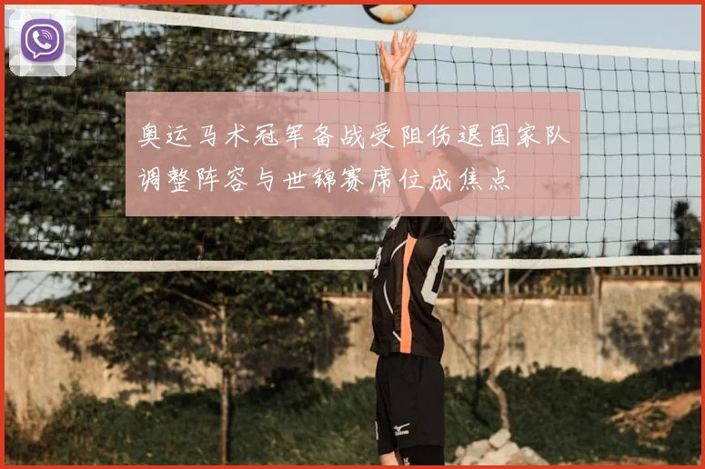 奥运马术冠军备战受阻伤退国家队调整阵容与世锦赛席位成焦点
