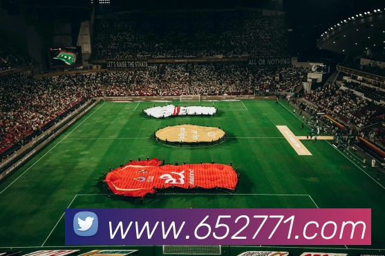 云开体育app官网体验版平台生态图